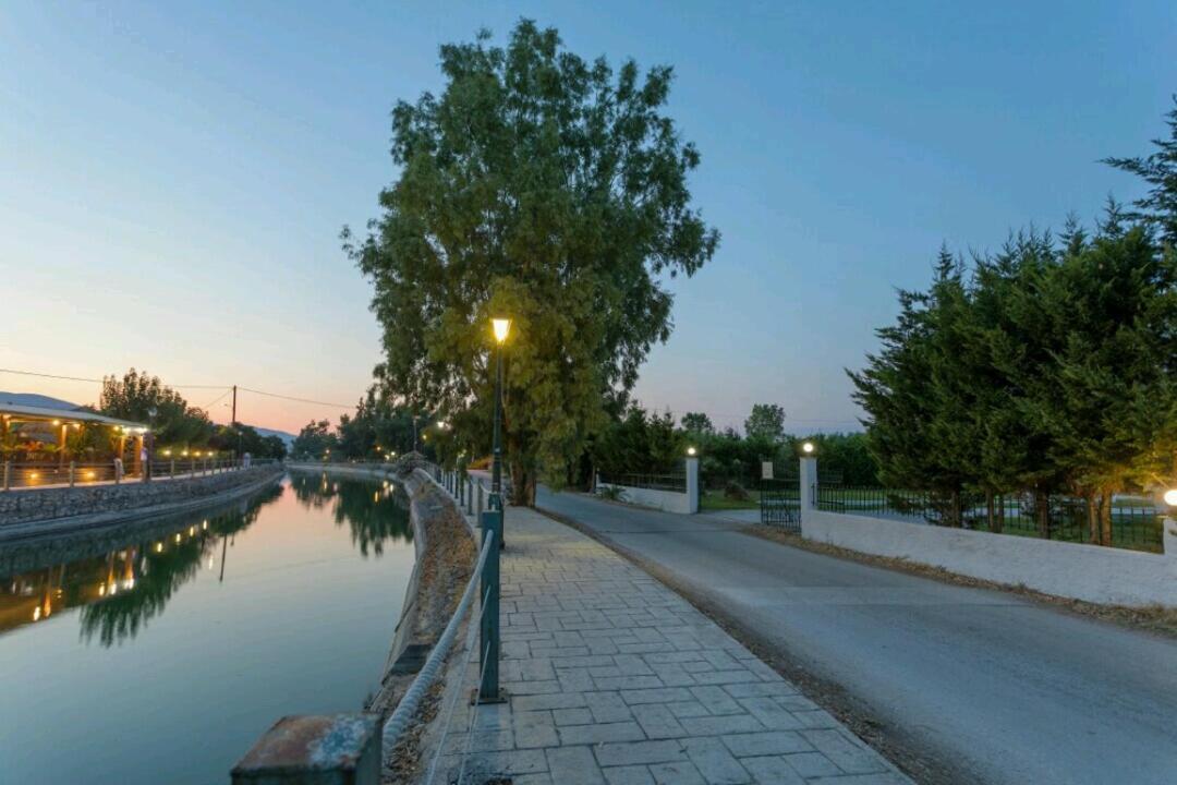 Eleni Studios & Apartments Alykes  Dış mekan fotoğraf